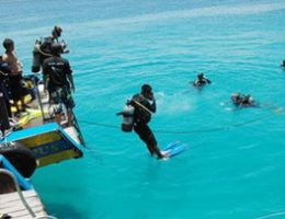 Friendly tour guide with rich knowledge