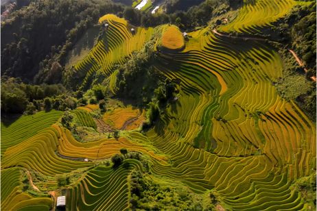 Mam Xoi Rice Terrace Hill