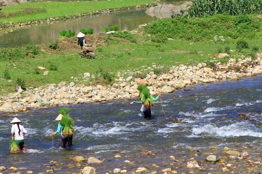 North West Sightseeings and Activities