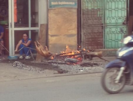 Living in Vietnam as a European