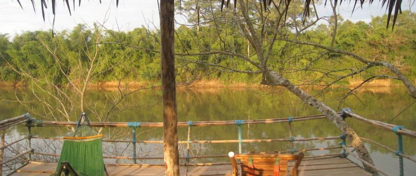 Bamboo Green Lodge