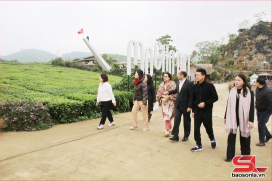 Indian Ambassador visits agricultural and tourism models in Moc Chau