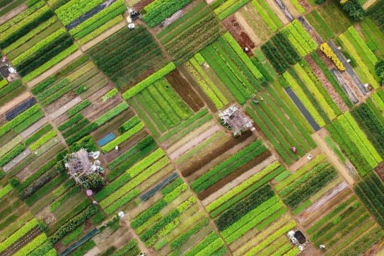 Tra Que: The best tourism village 2024