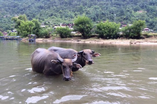 Travel trade fair in Vietnam 2016