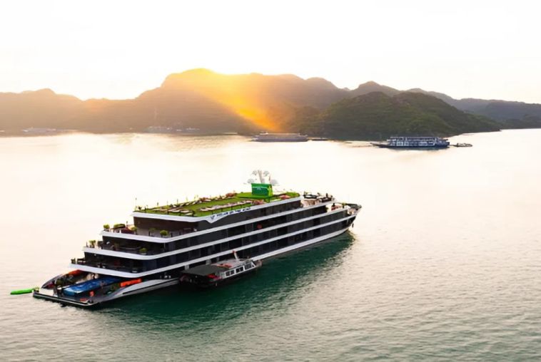 Velar Of The Seas Cruises