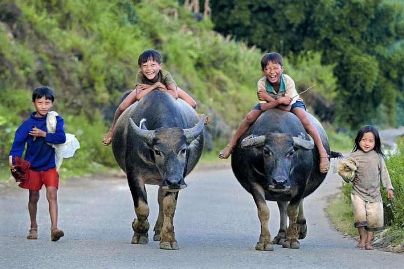 A regular day in Vietnam