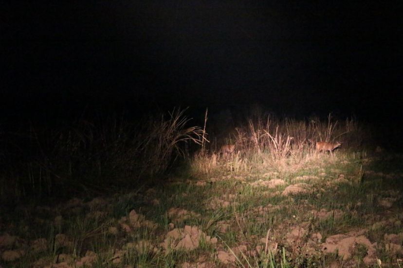 Trip to Nam Cat Tien National Park