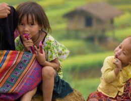 Sapa Remote Village Trek With Homestay