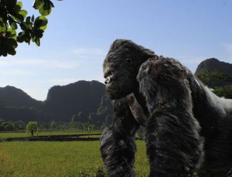 King Kong goes Vietnam