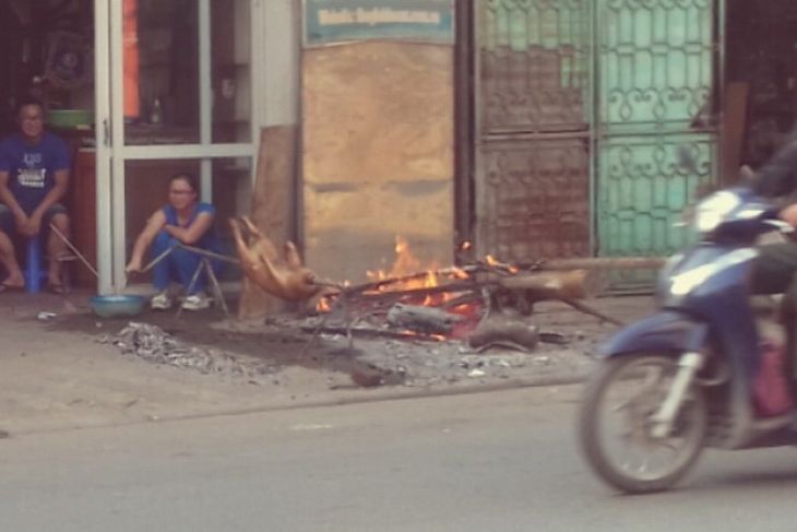 Living in Vietnam as a European Living in Vietnam as a European