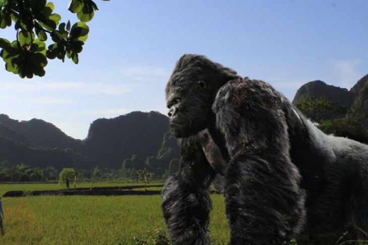 King Kong goes Vietnam King Kong goes Vietnam