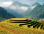 Rice Terrace Season in North Vietnam