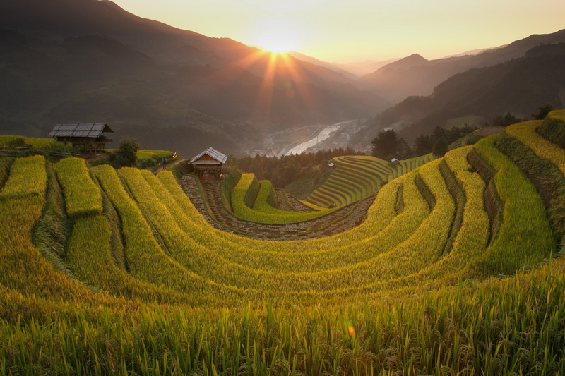 Mu Cang Chai