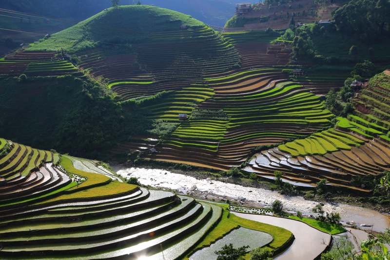 Rice terrace at Cau Ba Nha, Mu Cang Chai