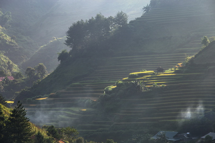 Rice terrance in Mu Cang Chai