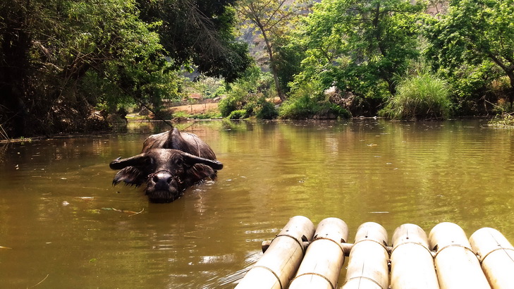 Mai Chau Village Homestay Nature experience authentic north vietnam