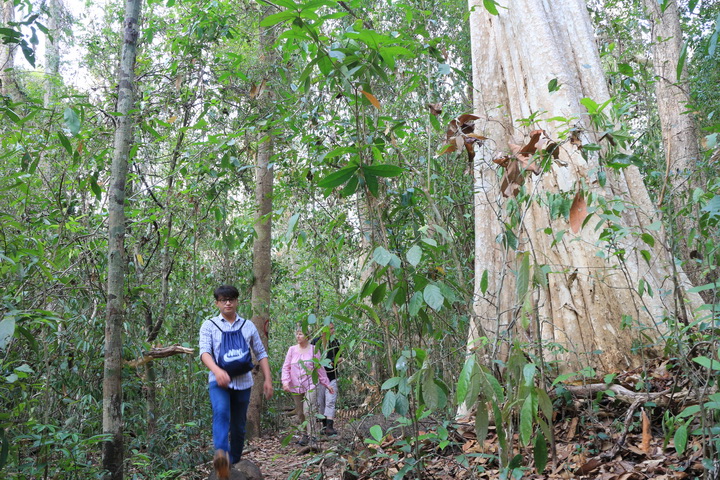 Nam Cat Tien National park