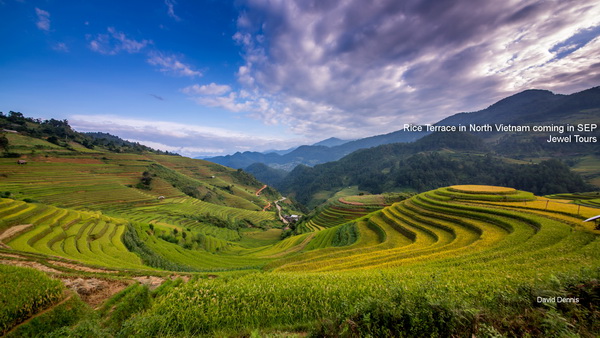 Rice terrace in Mu Cang Chai, Vietnam Rice terrace in Mu Cang Chai, Vietnam
